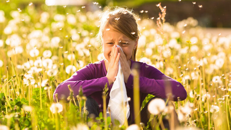 hayfever nasal strips pollen